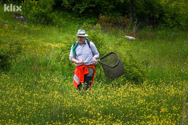 Foto: Vladimir Tadić