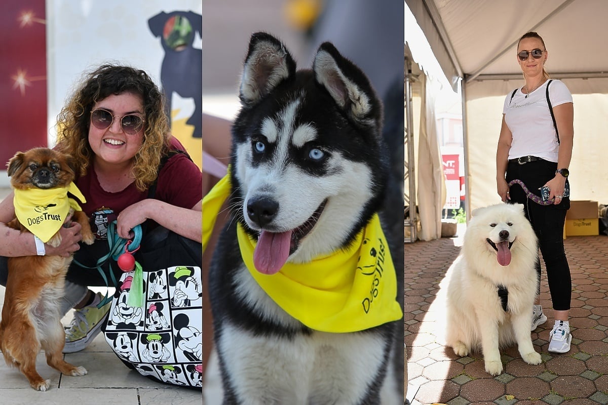 Dogs Trust okupio vlasnike i ljubitelje pasa na druženju u Mostaru