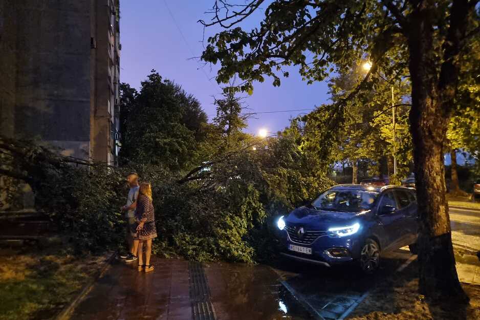 Posljedice nevremena u Novom Sadu (Foto: Vladan Popović)