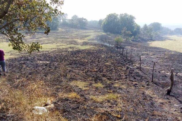 Izgorjeli dio nakon što su vatrogasci ugasili jedan kraj požara (Foto: ATV)