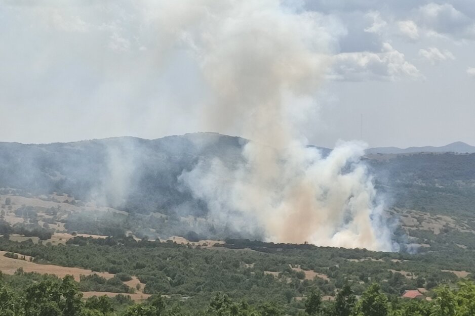 Požar kod Bileće (Foto: ATV)