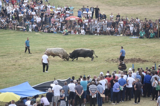 (Foto: T. S./Klix.ba)