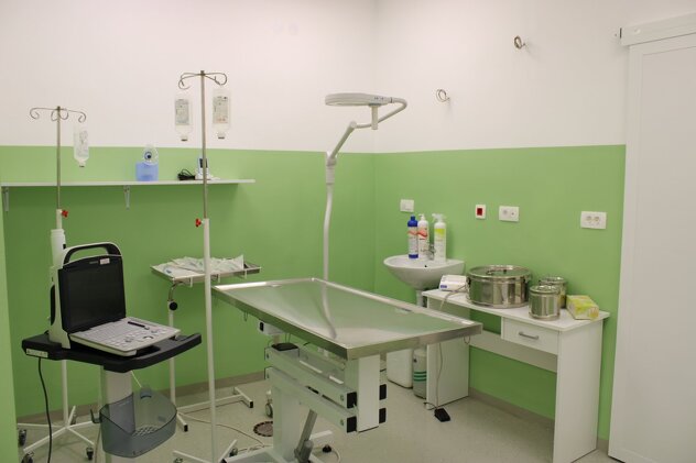 Foto: Služba za protokol i press KS
