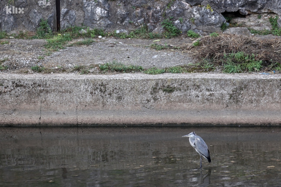 Foto: I. L./Klix.ba