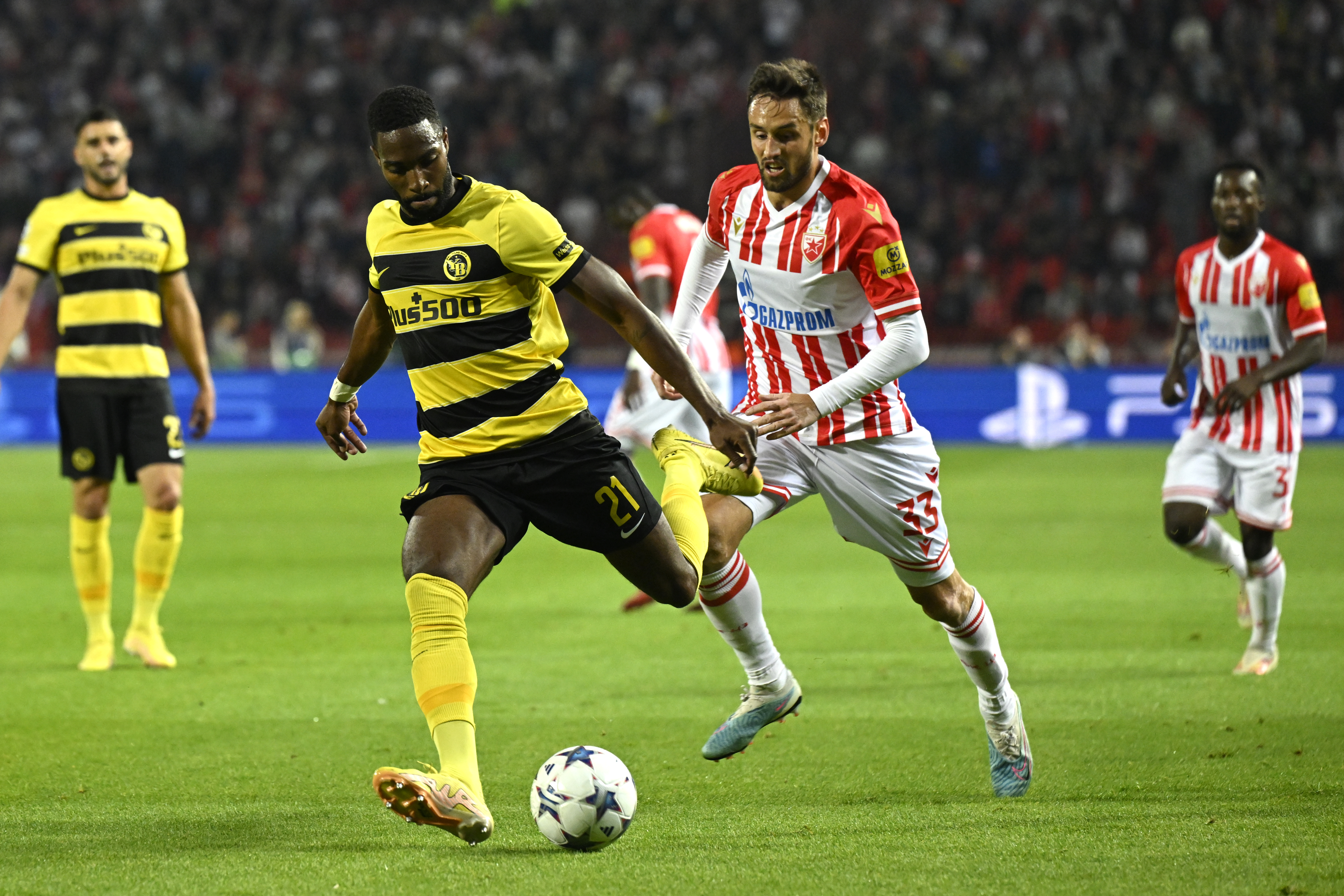 Crvena zvezda - Young Boys (Foto: EPA-EFE)