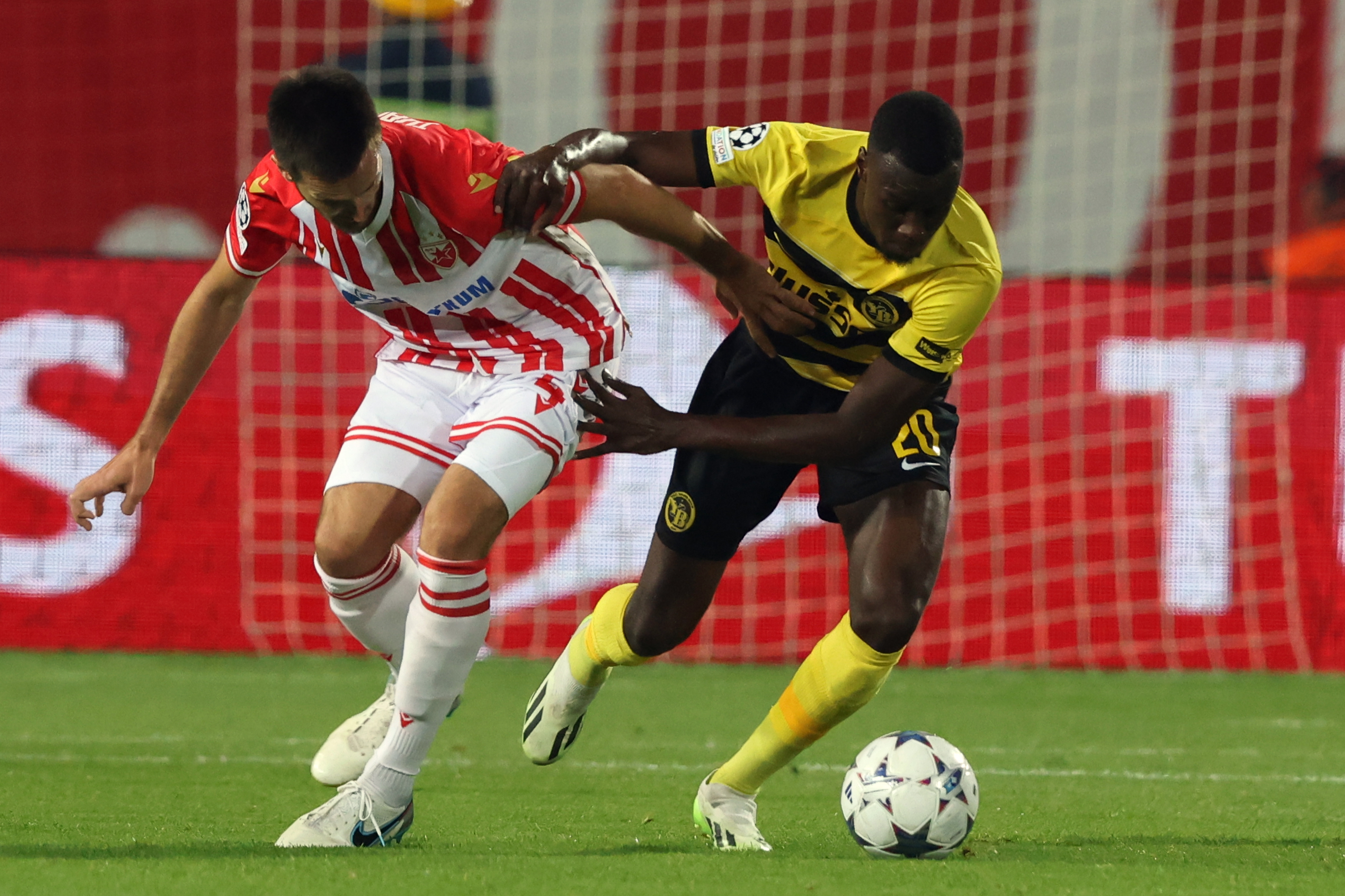Crvena zvezda - Young Boys (Foto: EPA-EFE)