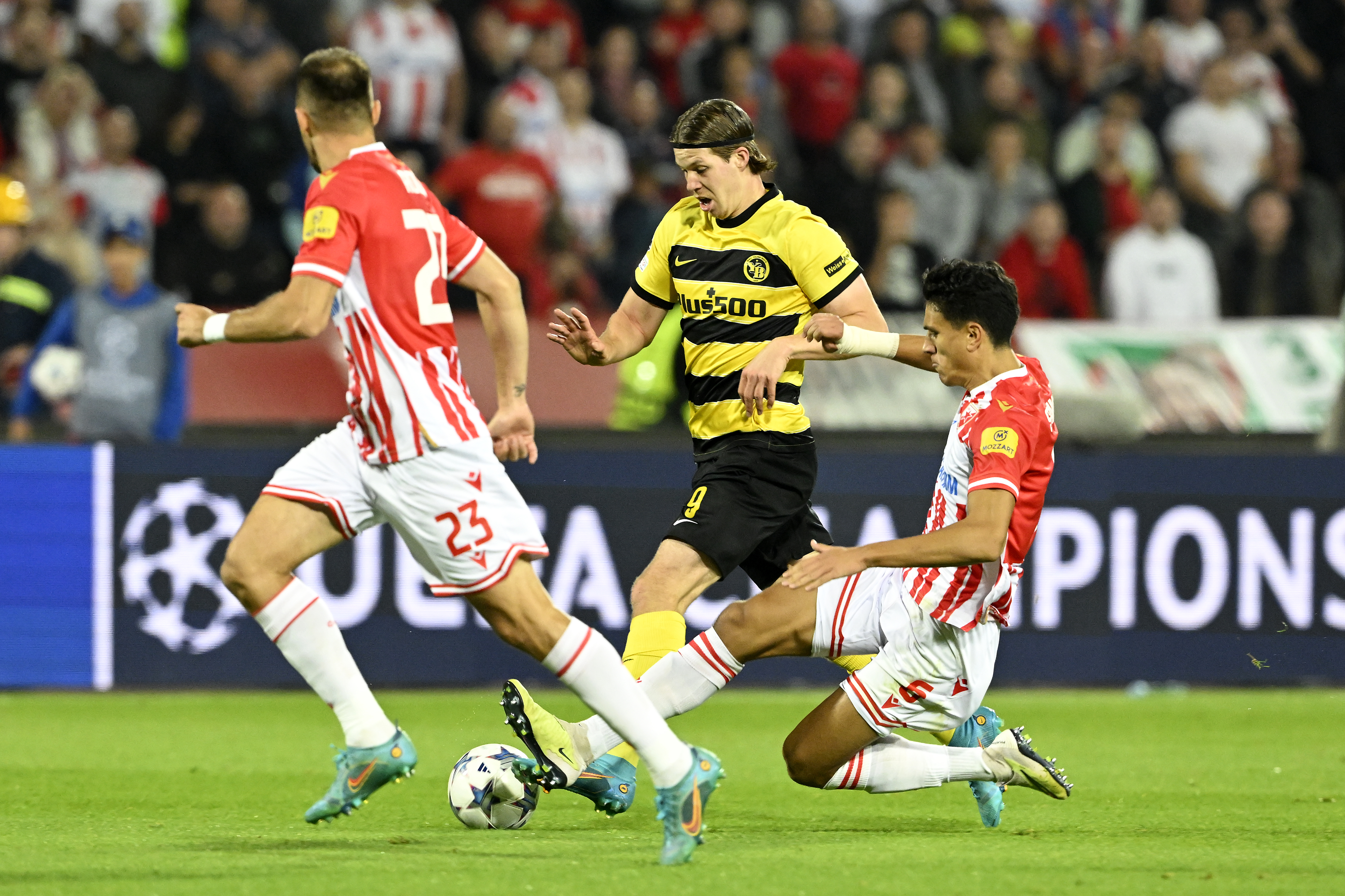 Crvena zvezda - Young Boys (Foto: EPA-EFE)