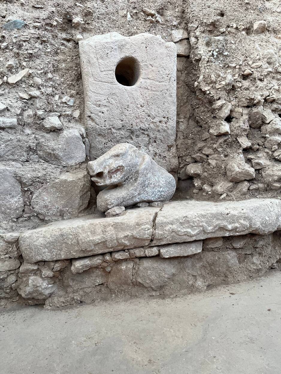 Statua divlje svinje u Gobeklitepeu (Foto: TGA)