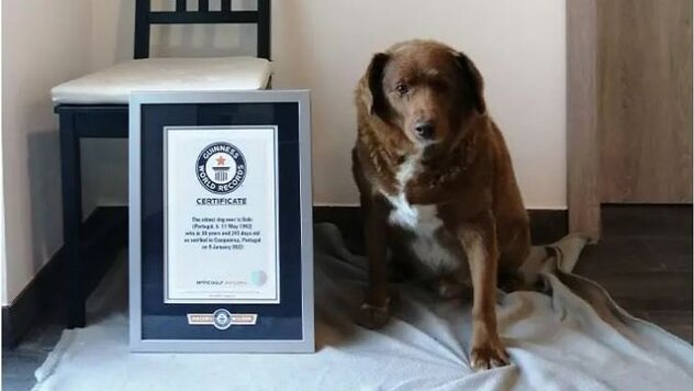 Foto: Guinnessova knjiga rekorda