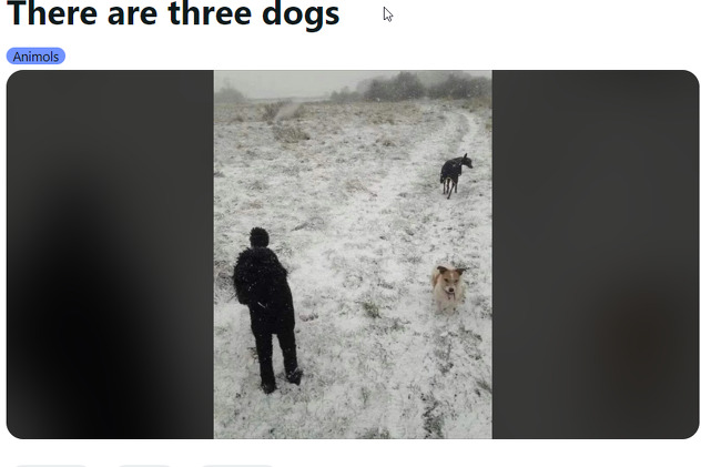 Screenshot/Reddit