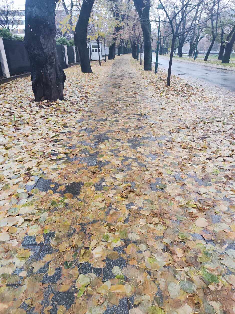 Vilsonovo šetalište (Foto: Klix.ba)