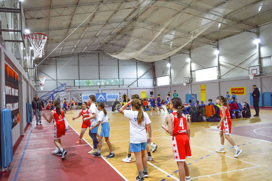 Mini Basket Festival