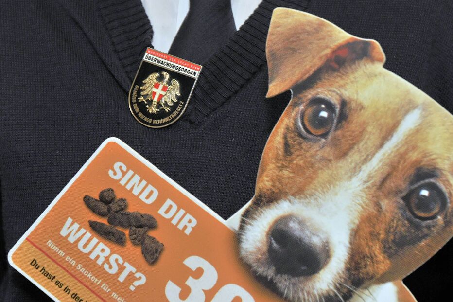 WasteWatcher je posebna jedinica za brigu o gradskoj čistoći (Foto: Schaub Walzer)