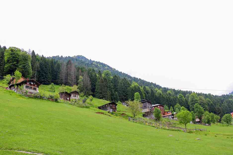 Visoravan Rize Ayder