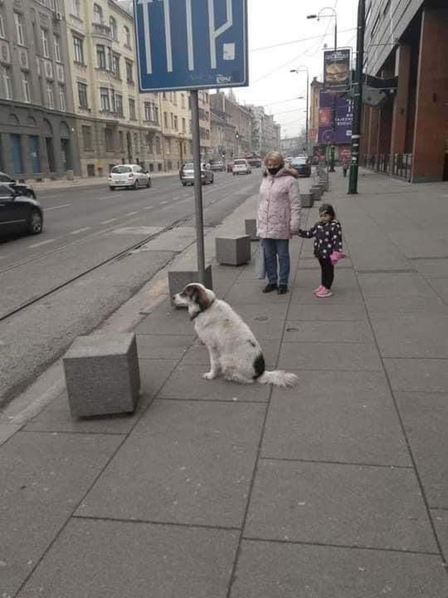 Foto: Čitatelj