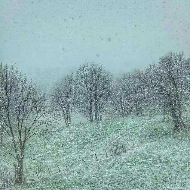 Foto: Dnevno.ba