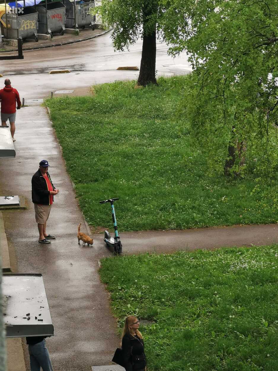 Foto: Klix.ba