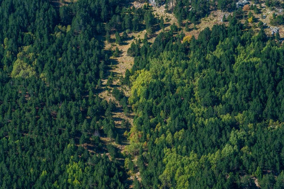 Planina Ida (Kazdağları)