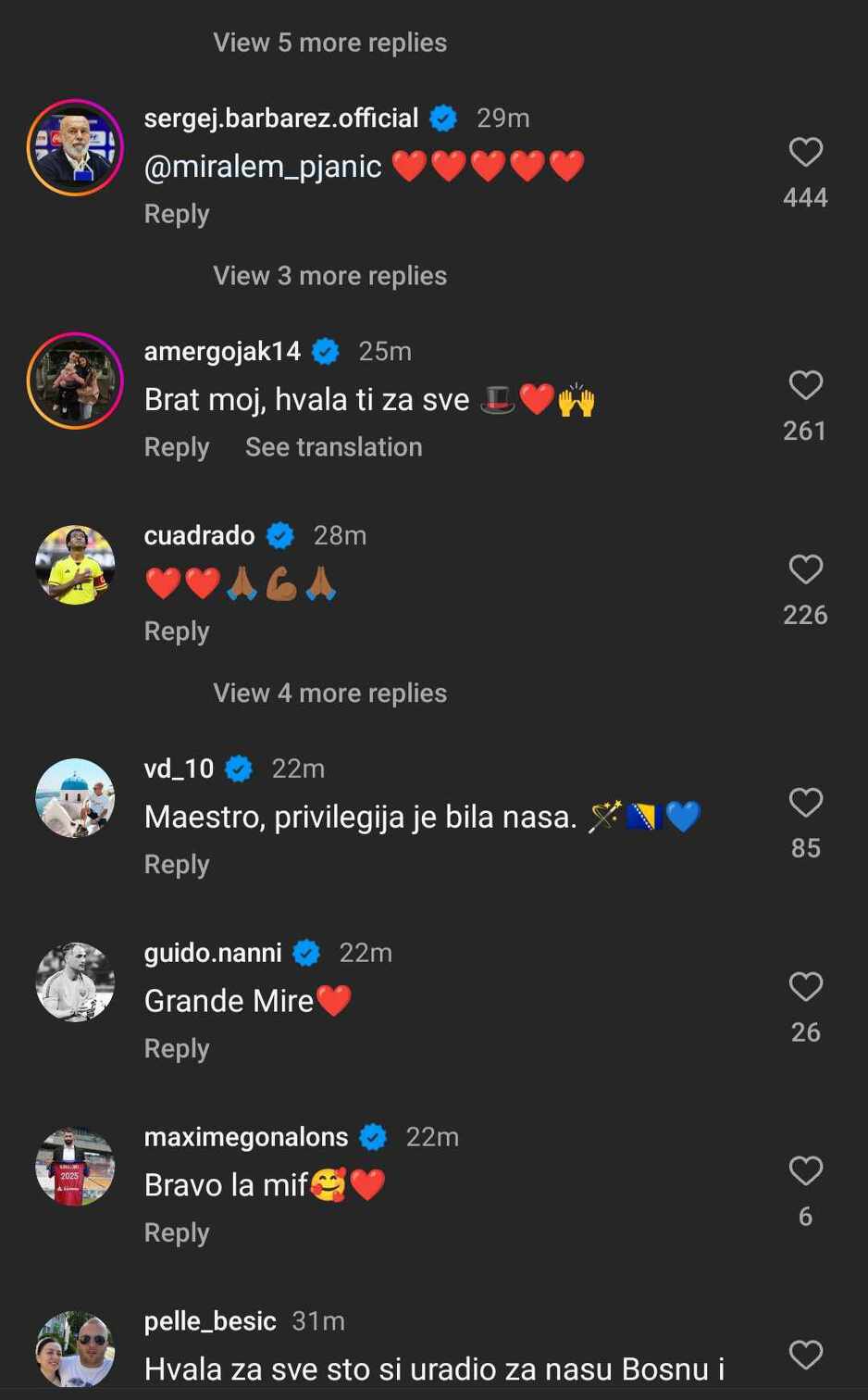Sergej Barbarez i ostali komentarisali objavu Miralema Pjanića (Foto: Instagram)