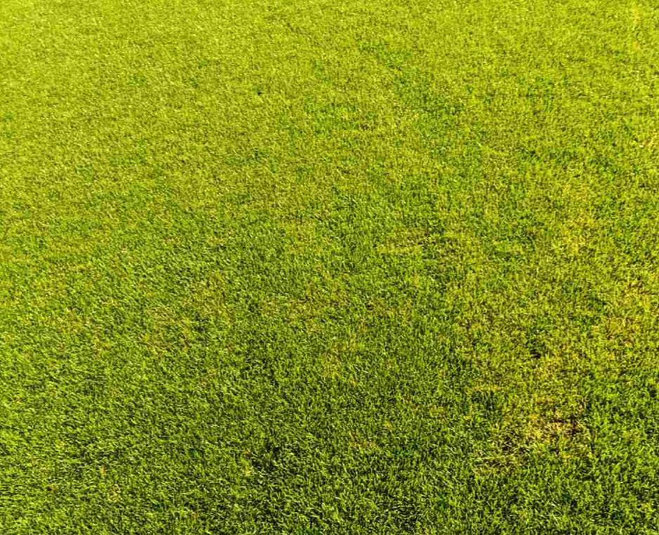 Oštećeni teren stadiona Rođeni (Foto: Klix.ba)