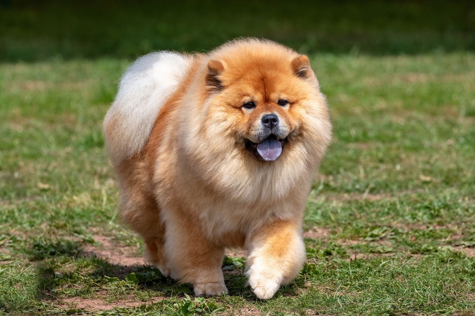 Foto: Shutterstock