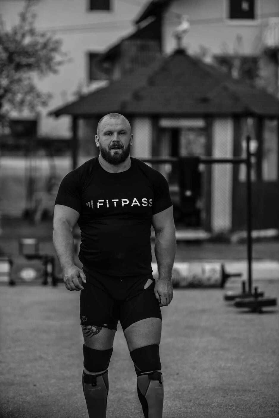 Damir Stroil