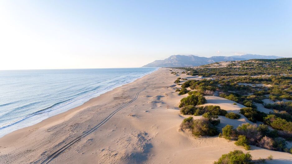 Ova jedinstvena bića pronaći ćete i oko plaže Patara u Antaliji