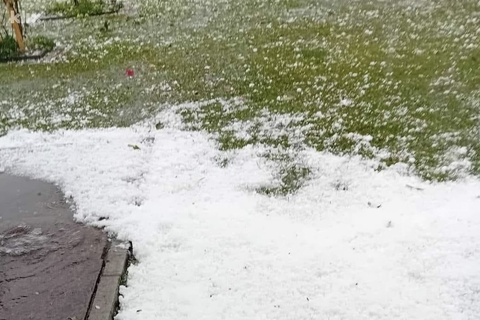 Foto: Udruženje poljoprivrednika FBiH