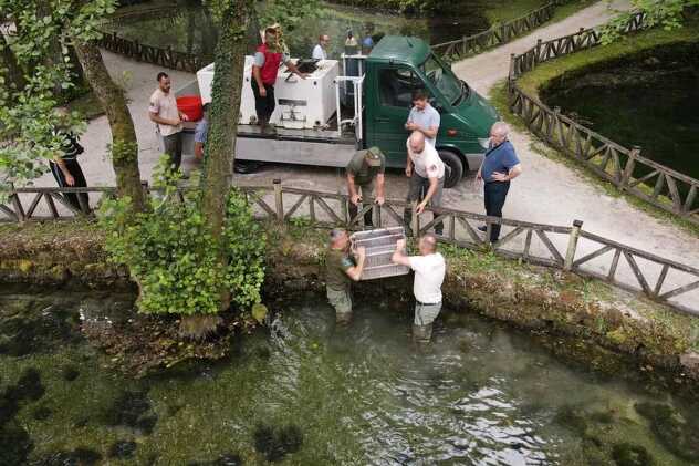 Vraćanje autohtone potočne pastrmke dunavskog sliva na Vrelo Bosne (Foto: Zaštićena prirodna područja Sarajeva)