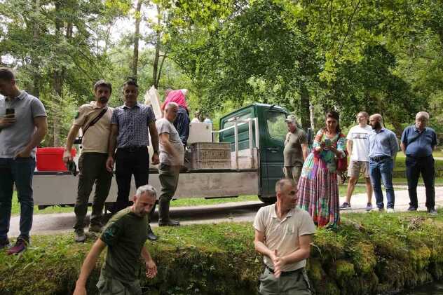 Vraćanje autohtone potočne pastrmke dunavskog sliva na Vrelo Bosne (Foto: Zaštićena prirodna područja Sarajeva)