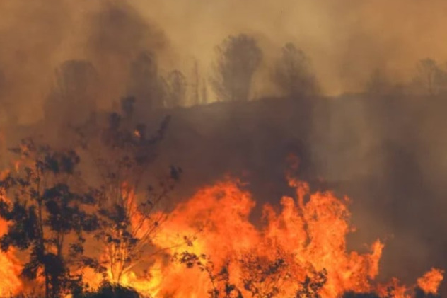 Foto: Al Jazeera
