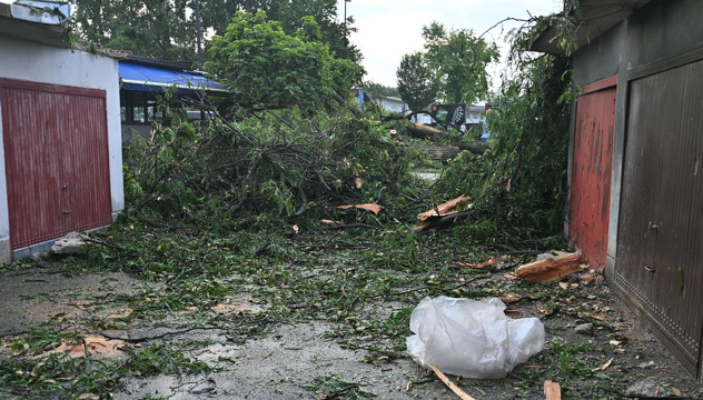 Foto: RTV Slovenia