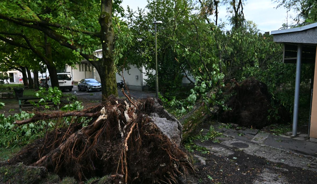 Foto: RTV Slovenia
