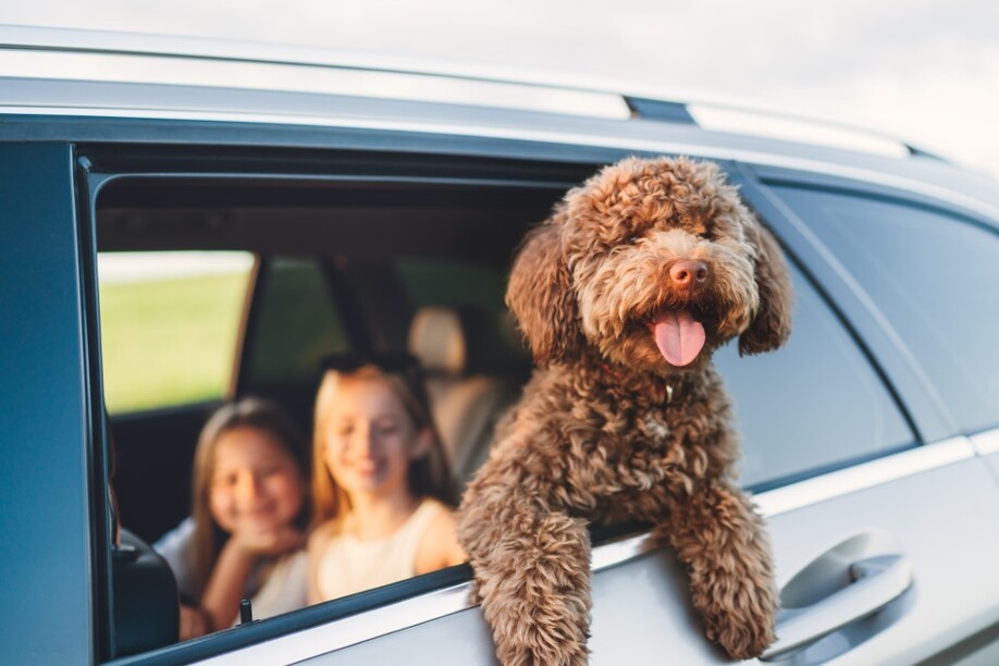 Foto: Shutterstock