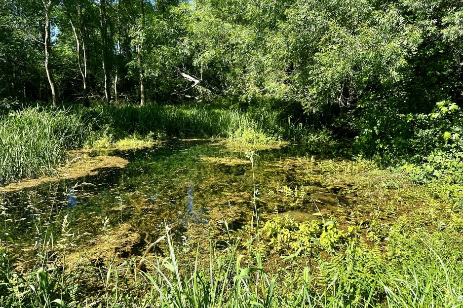 Park prirode Hutovo blato