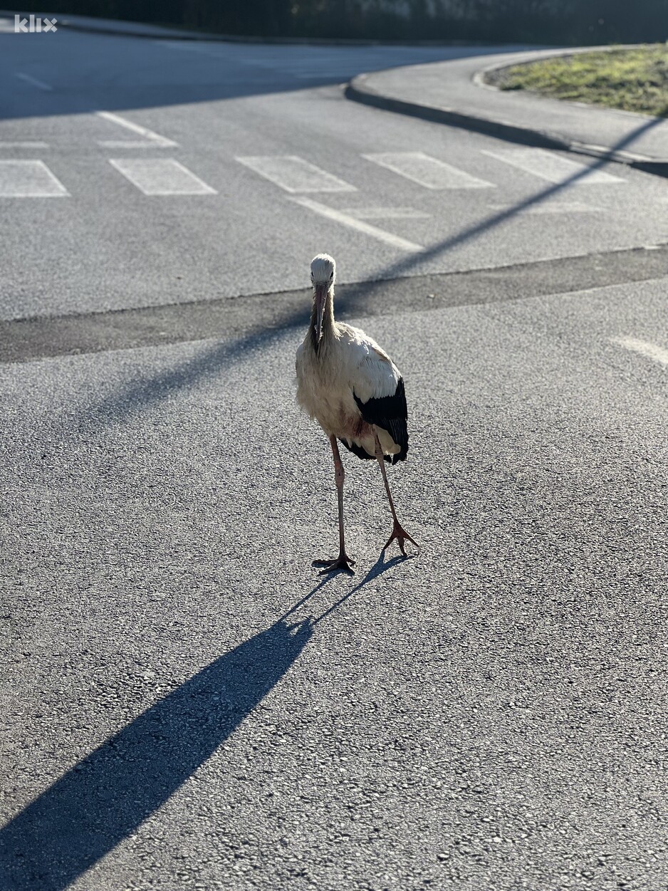 Foto: Čitatelj