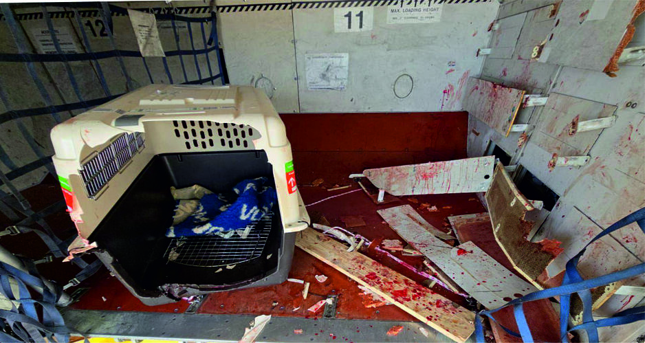 Prtljažni prostor u kojem je bio pas (Foto: Zamaaero)
