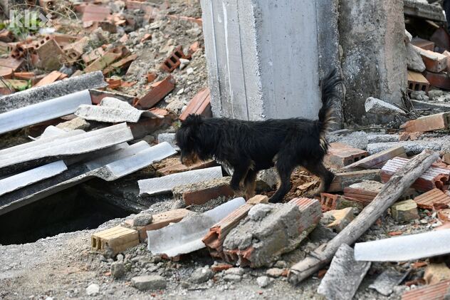 (Foto: T. S./Klix.ba)