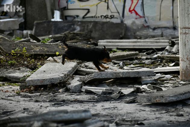(Foto: T. S./Klix.ba)