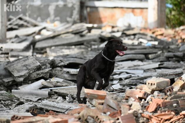 (Foto: T. S./Klix.ba)