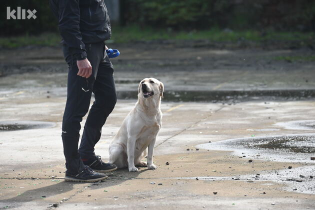 (Foto: T. S./Klix.ba)