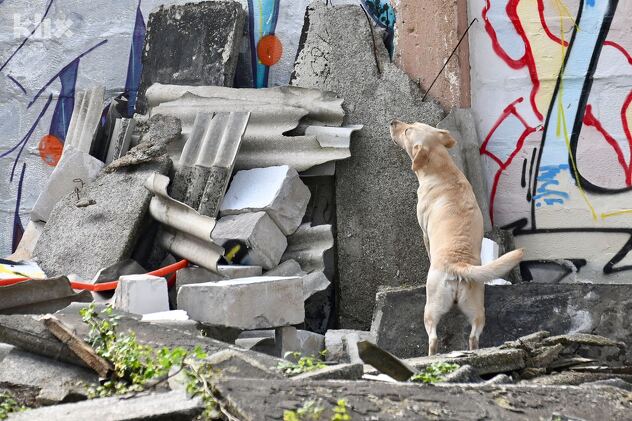 (Foto: T. S./Klix.ba)