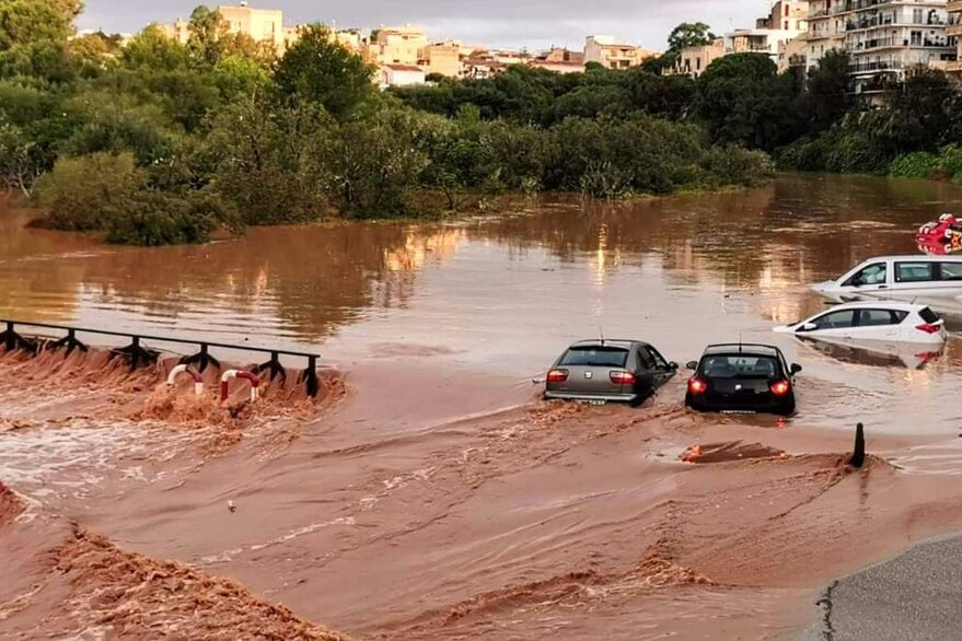 Foto: Mreža X