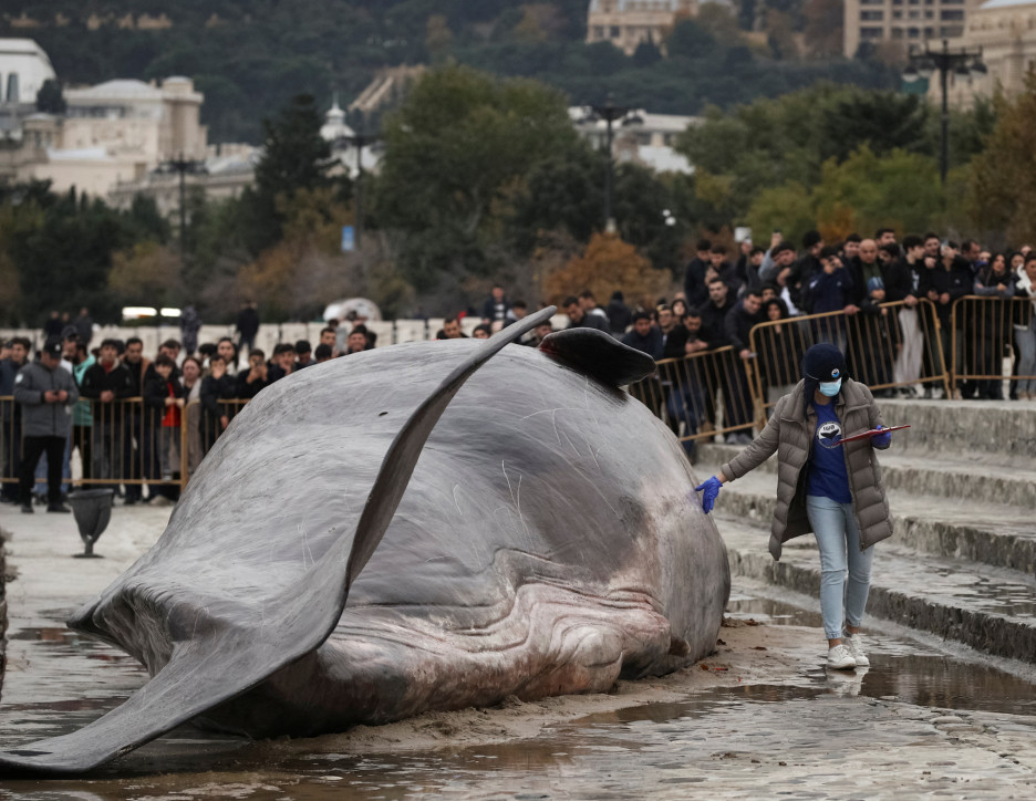 Foto: Reuters