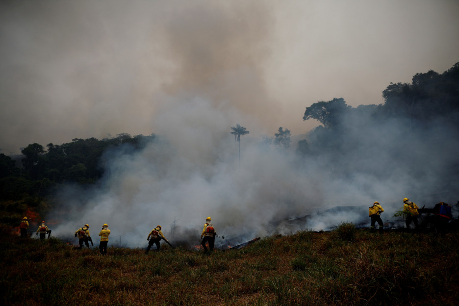Požar u šumi (Foto: Reuters)