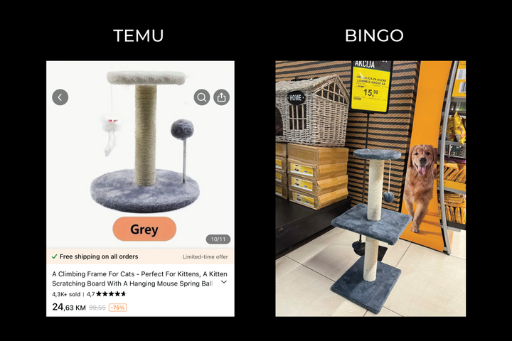 Temu vs Bingo