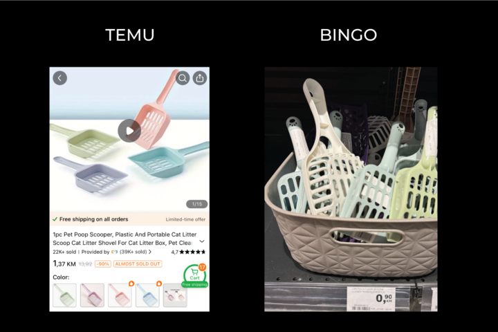 Temu vs Bingo