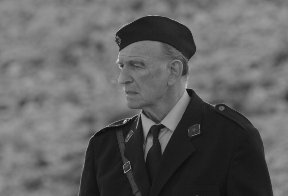 Svetozar Cvetković u filmu