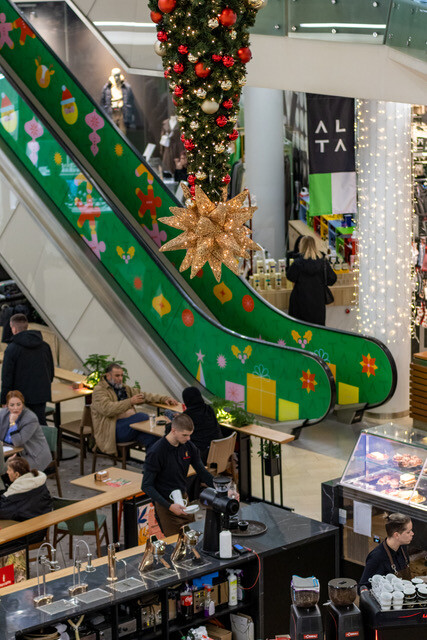 Obrnuta jelka u Alti