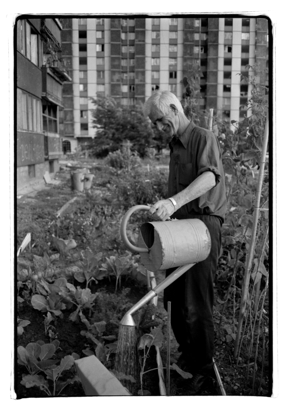Foto: Staffan Löfving